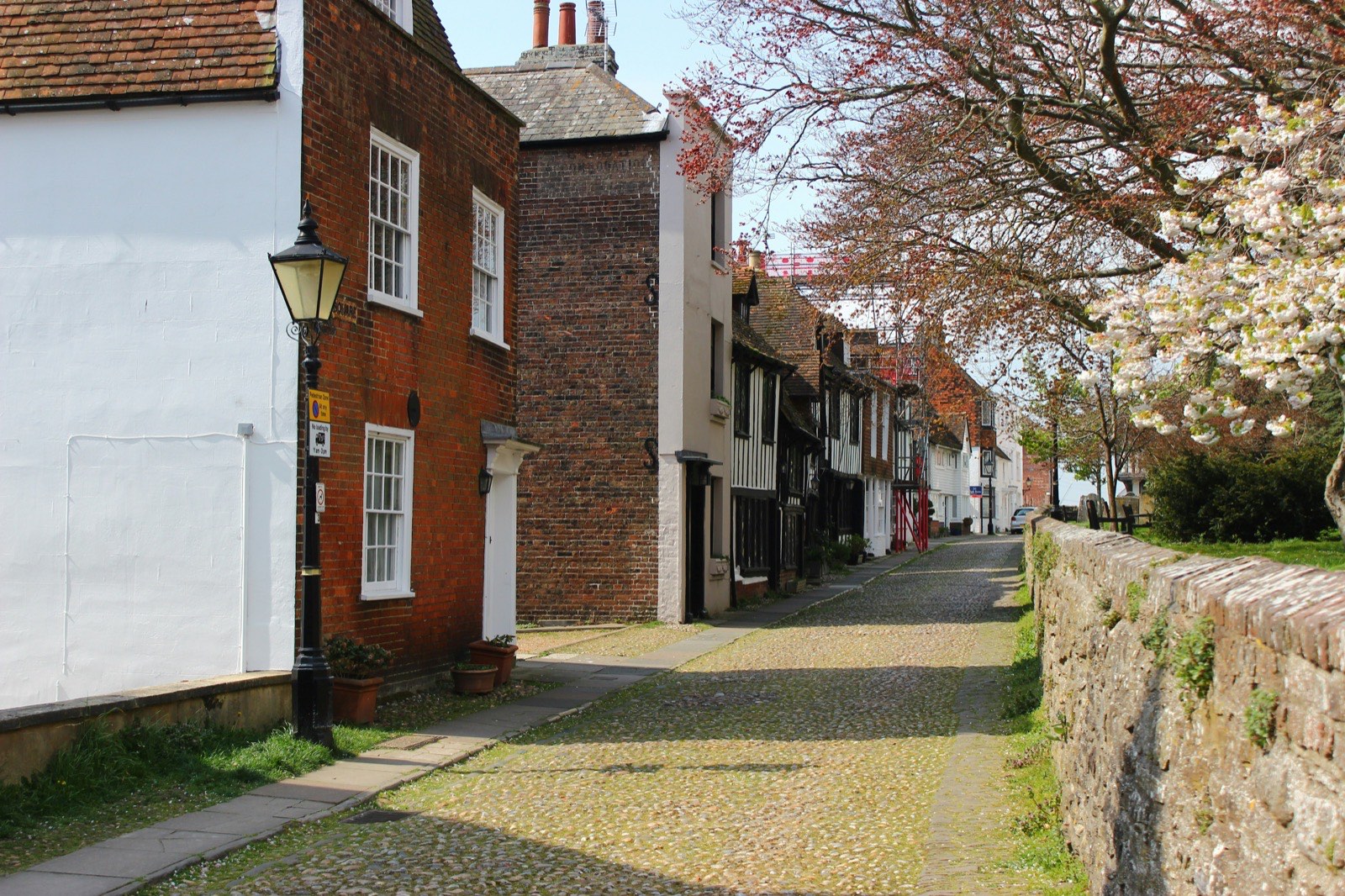Cobbled lane of period houses