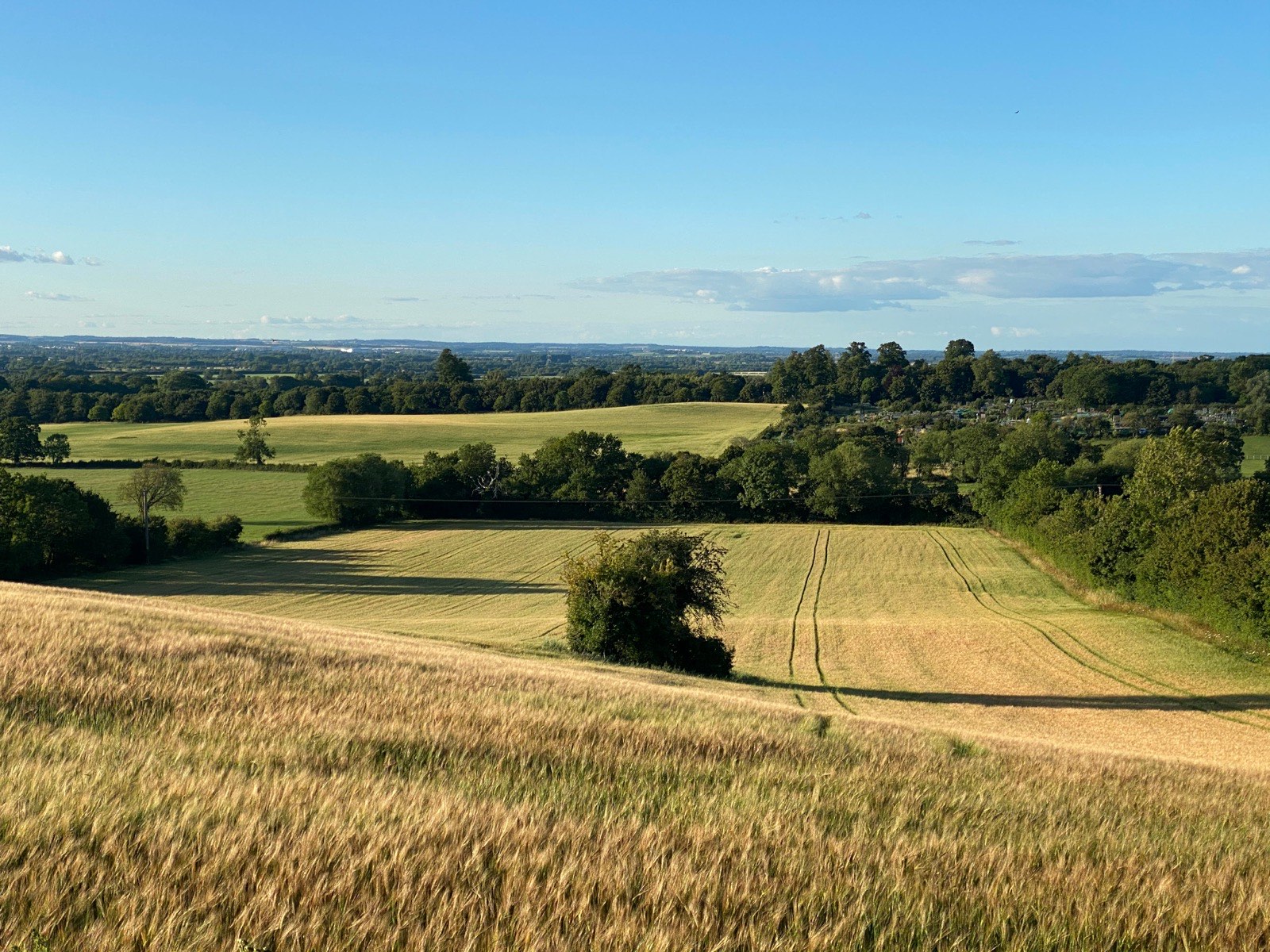 Rolling arable fields and hedgerows in the English countryside